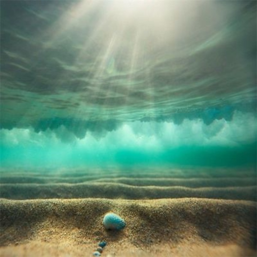 LARGE Photo Realistic Backdrop of under sea water ocean - 8x8 Like New